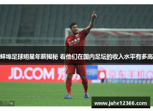 蚌埠足球明星年薪揭秘 看他们在国内足坛的收入水平有多高
